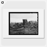 Stumps on Cox farm piled and ready for burning - Dorothea Lange Poster.