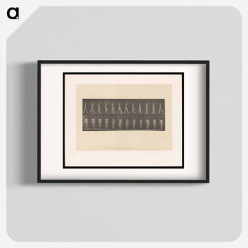 Naked Woman Walking
 - エドワード マイブリッジ Poster.