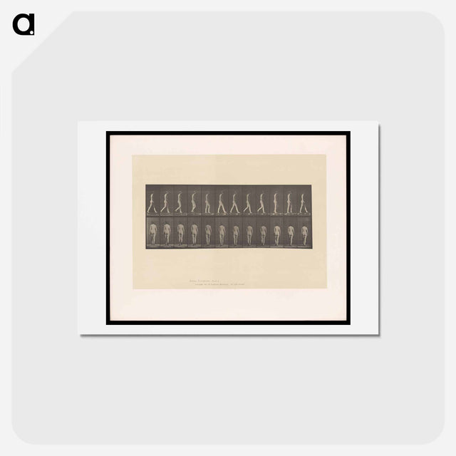 アートポストカード-Naked Woman Walking
 - エドワード マイブリッジ Postcard.
