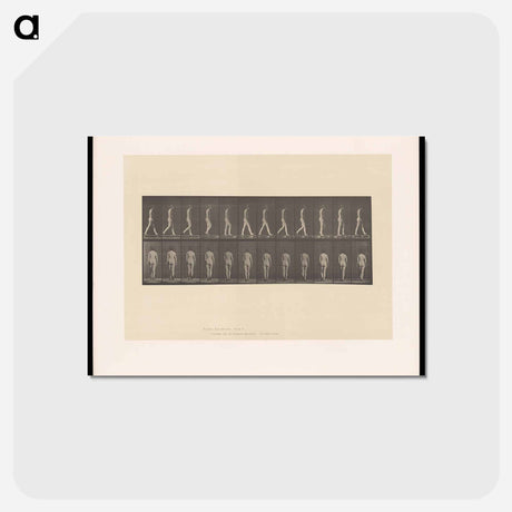 アートポストカード-Naked Woman Walking
 - エドワード マイブリッジ Postcard.