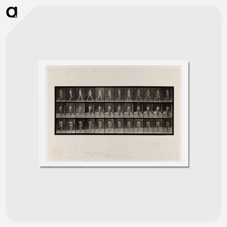 アートポストカード-Naked Man Walking
 - エドワード マイブリッジ Postcard.