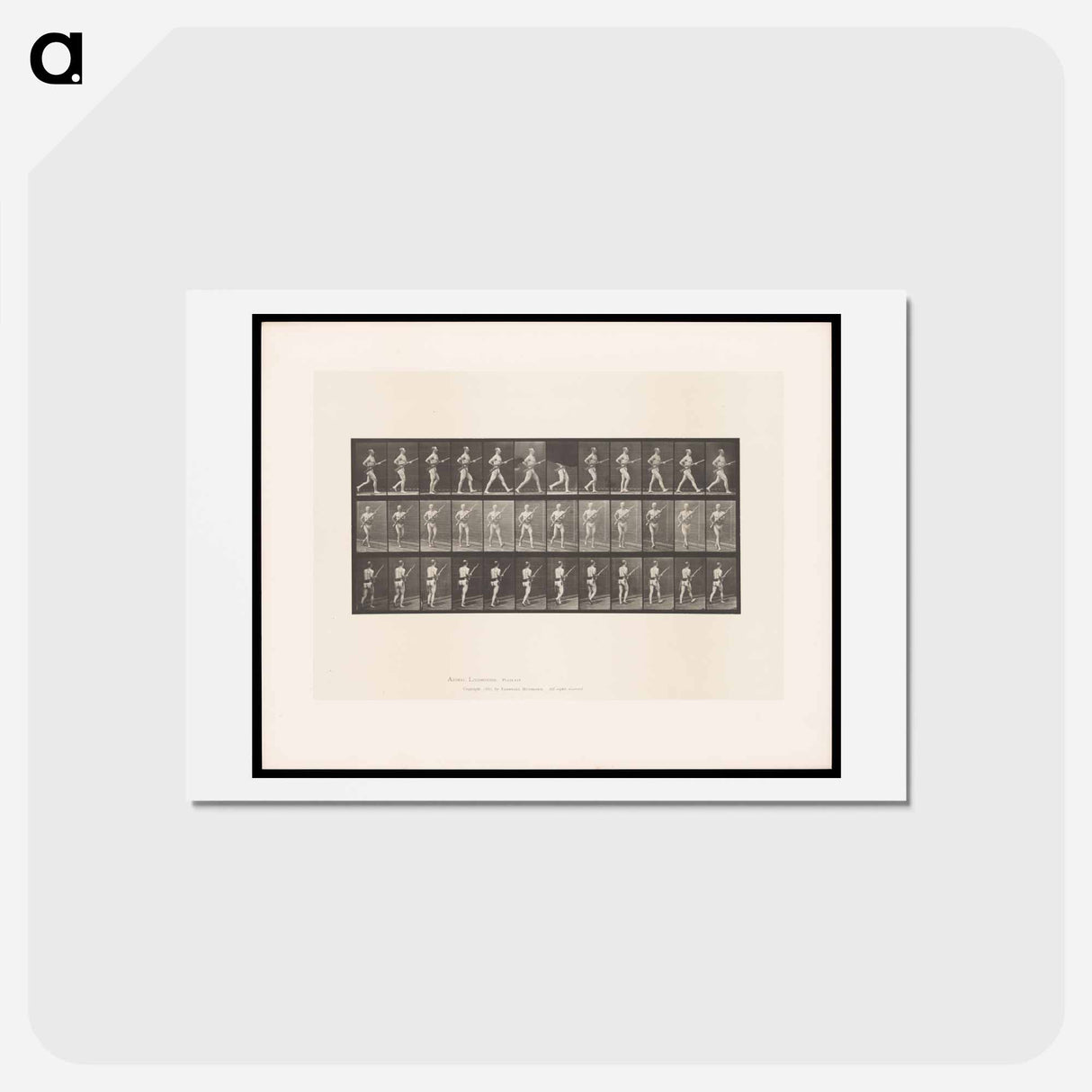 アートポストカード-Man with Rifle
 - エドワード マイブリッジ Postcard.