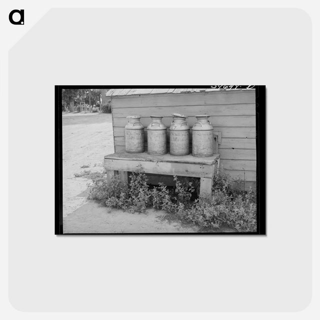 アートポストカード-Milk Cans, Caldwell, Idaho
 - ラッセル リー Postcard.