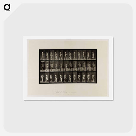 アートポストカード-Naked Woman Walking
 - エドワード マイブリッジ Postcard.