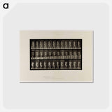 アートポストカード-Naked Woman Walking
 - エドワード マイブリッジ Postcard.