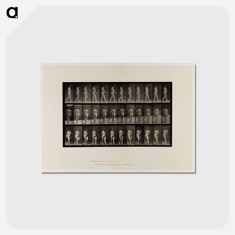 アートポストカード-Naked Woman Walking
 - エドワード マイブリッジ Postcard.