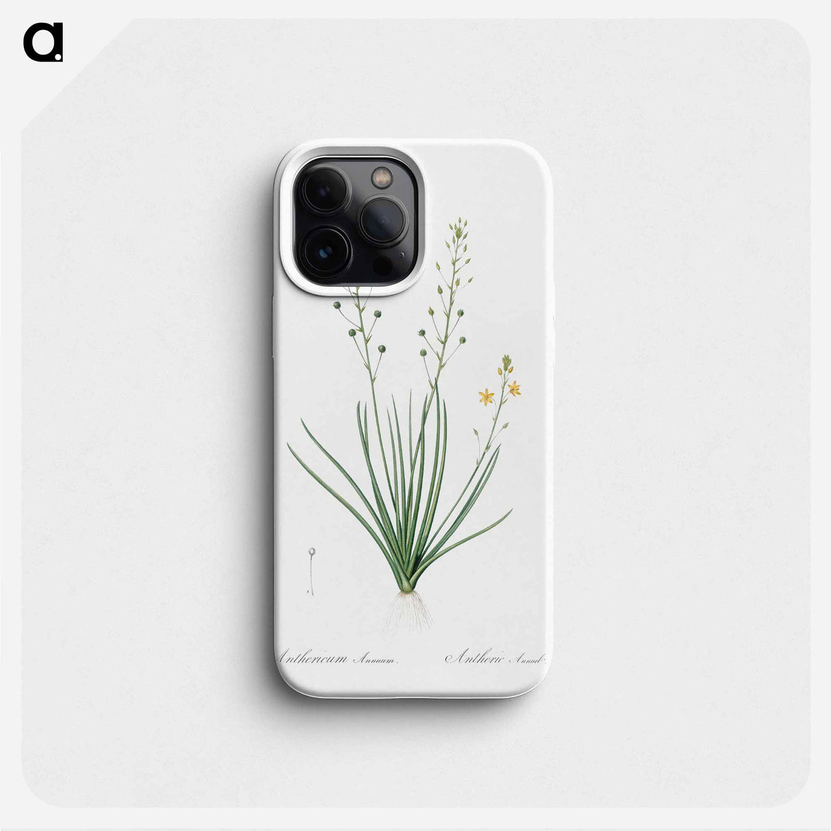 Bulbine lily illustration - ピエール ジョゼフ ルドゥーテ Phone Case.