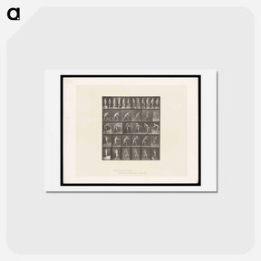 アートポストカード-Motion Studies
 - エドワード マイブリッジ Postcard.