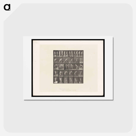 アートポストカード-Motion Studies
 - エドワード マイブリッジ Postcard.