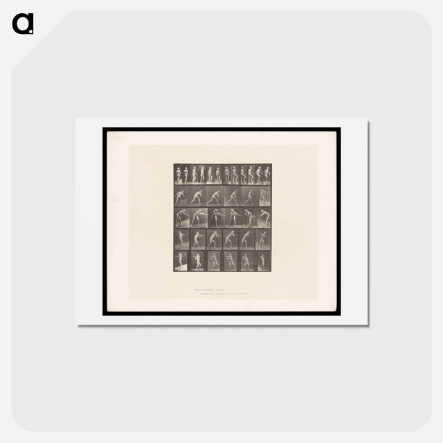 アートポストカード-Motion Studies
 - エドワード マイブリッジ Postcard.