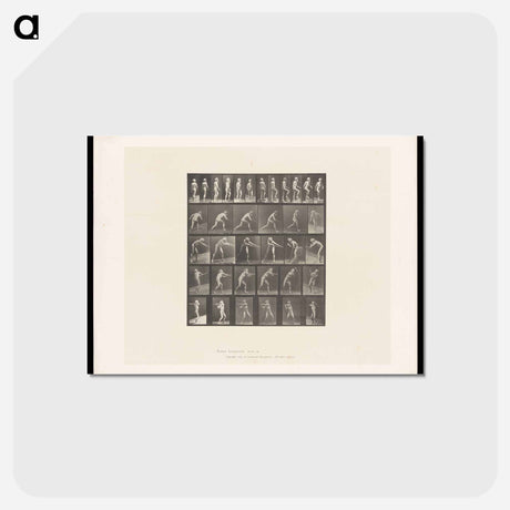 アートポストカード-Motion Studies
 - エドワード マイブリッジ Postcard.