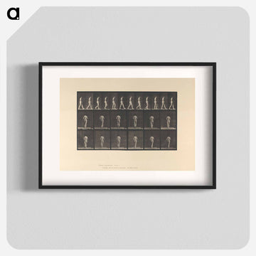 Woman with Back Brace
 - エドワード マイブリッジ Poster.