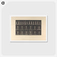 アートポストカード-Woman with Back Brace
 - エドワード マイブリッジ Postcard.