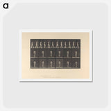 アートポストカード-Woman with Back Brace
 - エドワード マイブリッジ Postcard.