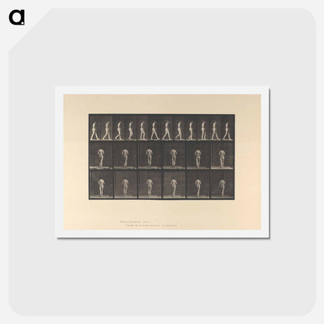 アートポストカード-Woman with Back Brace
 - エドワード マイブリッジ Postcard.