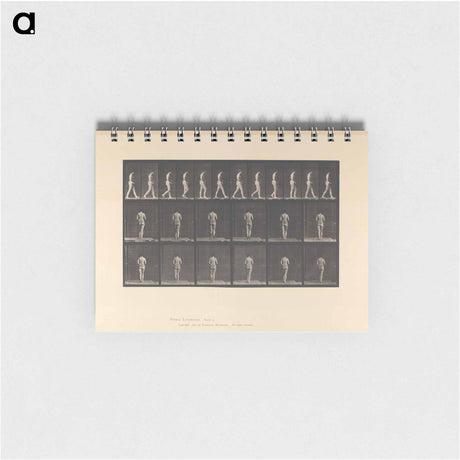 アートメモ帳-Woman with Back Brace
 - エドワード マイブリッジ Memo.