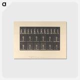 アートポストカード-Woman with Back Brace
 - エドワード マイブリッジ Postcard.