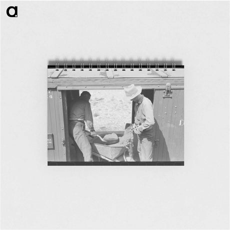 アートメモ帳-Animas River Valley Farmer's Clothing
 - ラッセル リー Memo.