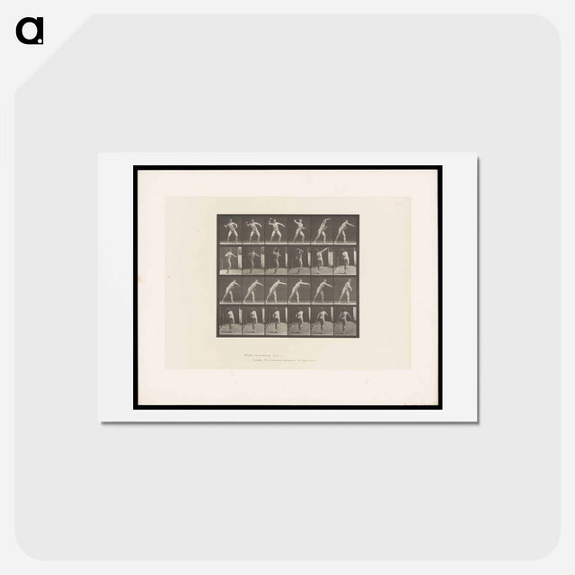 アートポストカード-Throwing a Ball
 - エドワード マイブリッジ Postcard.