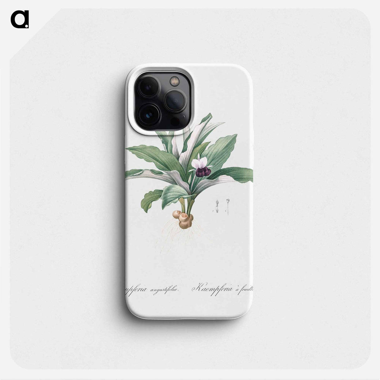 Kaempferia angustifolia illustration from Les liliacées - Pierre-Joseph Redouté Phone Case.