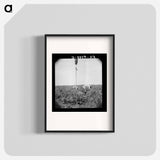 Cotton picking in south Texas - Dorothea Lange Poster.