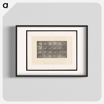 Rowing Nudes
 - エドワード マイブリッジ Poster.