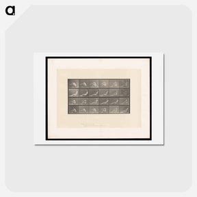 アートポストカード-Rowing Nudes
 - エドワード マイブリッジ Postcard.