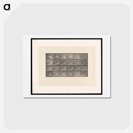 アートポストカード-Rowing Nudes
 - エドワード マイブリッジ Postcard.