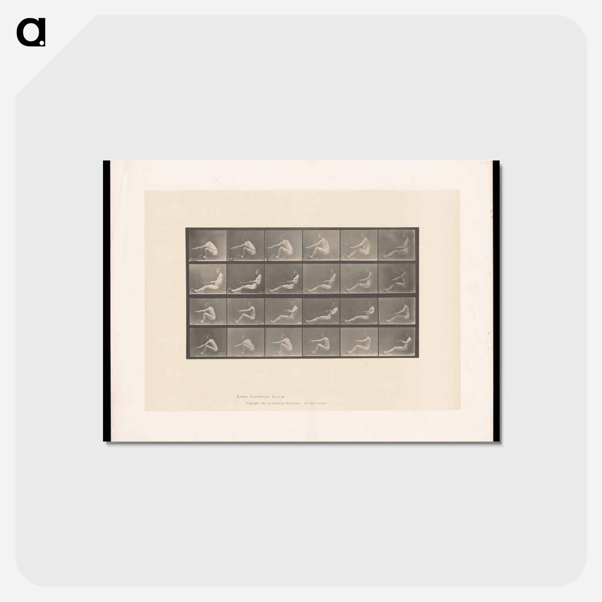 アートポストカード-Rowing Nudes
 - エドワード マイブリッジ Postcard.