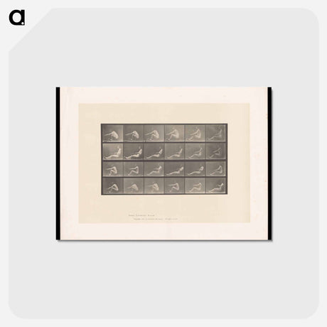 アートポストカード-Rowing Nudes
 - エドワード マイブリッジ Postcard.