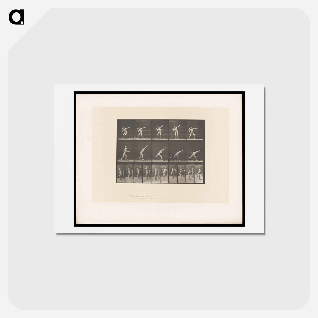 アートポストカード-Putting the Shot
 - エドワード マイブリッジ Postcard.