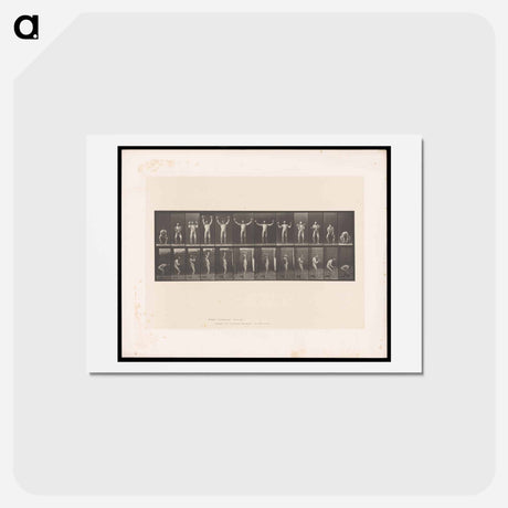 アートポストカード-Weightlifting Sequence
 - エドワード マイブリッジ Postcard.