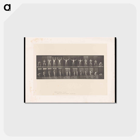 アートポストカード-Weightlifting Sequence
 - エドワード マイブリッジ Postcard.