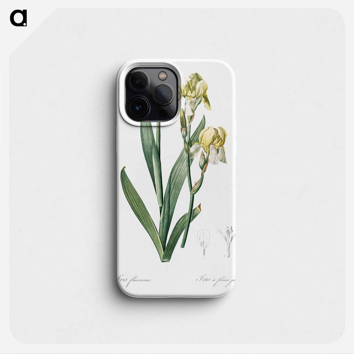 Lemonyellow iris illustration - ピエール ジョゼフ ルドゥーテ Phone Case.