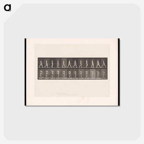 アートポストカード-Naked Man Walking
 - エドワード マイブリッジ Postcard.