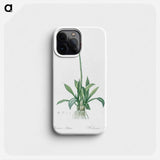 Swamp pink illustration - Pierre Joseph Redouté Phone Case.