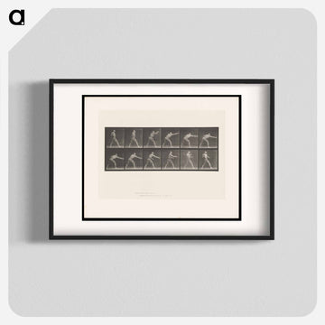 Striking Man
 - エドワード マイブリッジ Poster.