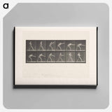 アートパネル-Striking Man
 - エドワード マイブリッジ Canvas.