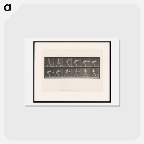 アートポストカード-Striking Man
 - エドワード マイブリッジ Postcard.