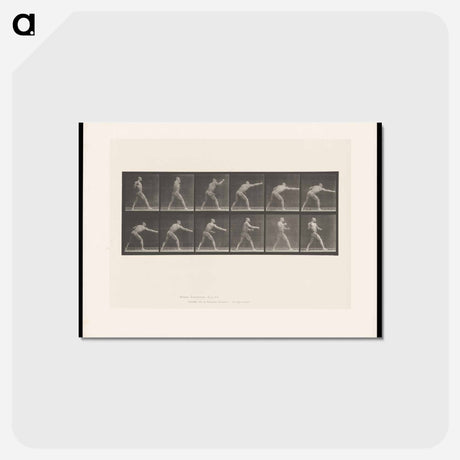 アートポストカード-Striking Man
 - エドワード マイブリッジ Postcard.