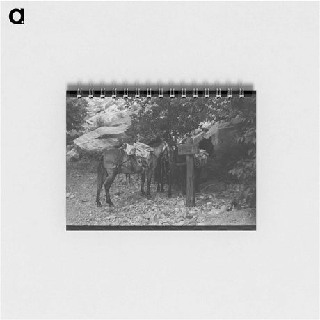 アートメモ帳-Pea Vines and Farmer
 - ラッセル リー Memo.