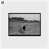 アートポストカード-Pea Vines and Farmer
 - ラッセル リー Postcard.