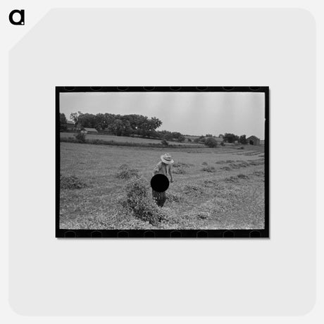 アートポストカード-Pea Vines and Farmer
 - ラッセル リー Postcard.