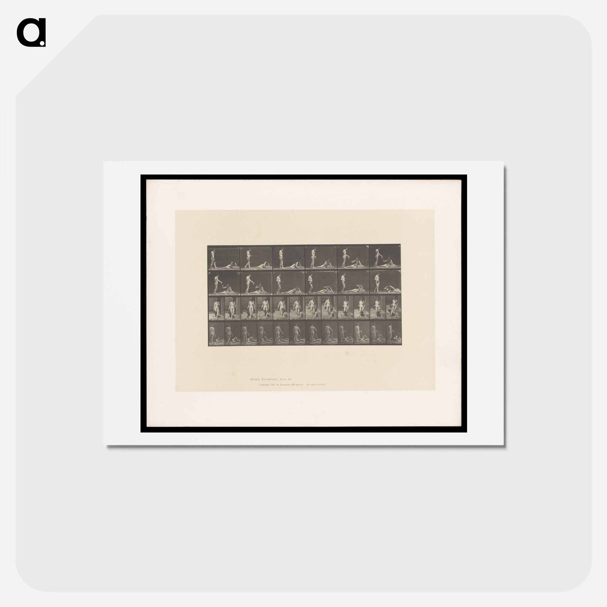アートポストカード-Pouring Water
 - エドワード マイブリッジ Postcard.