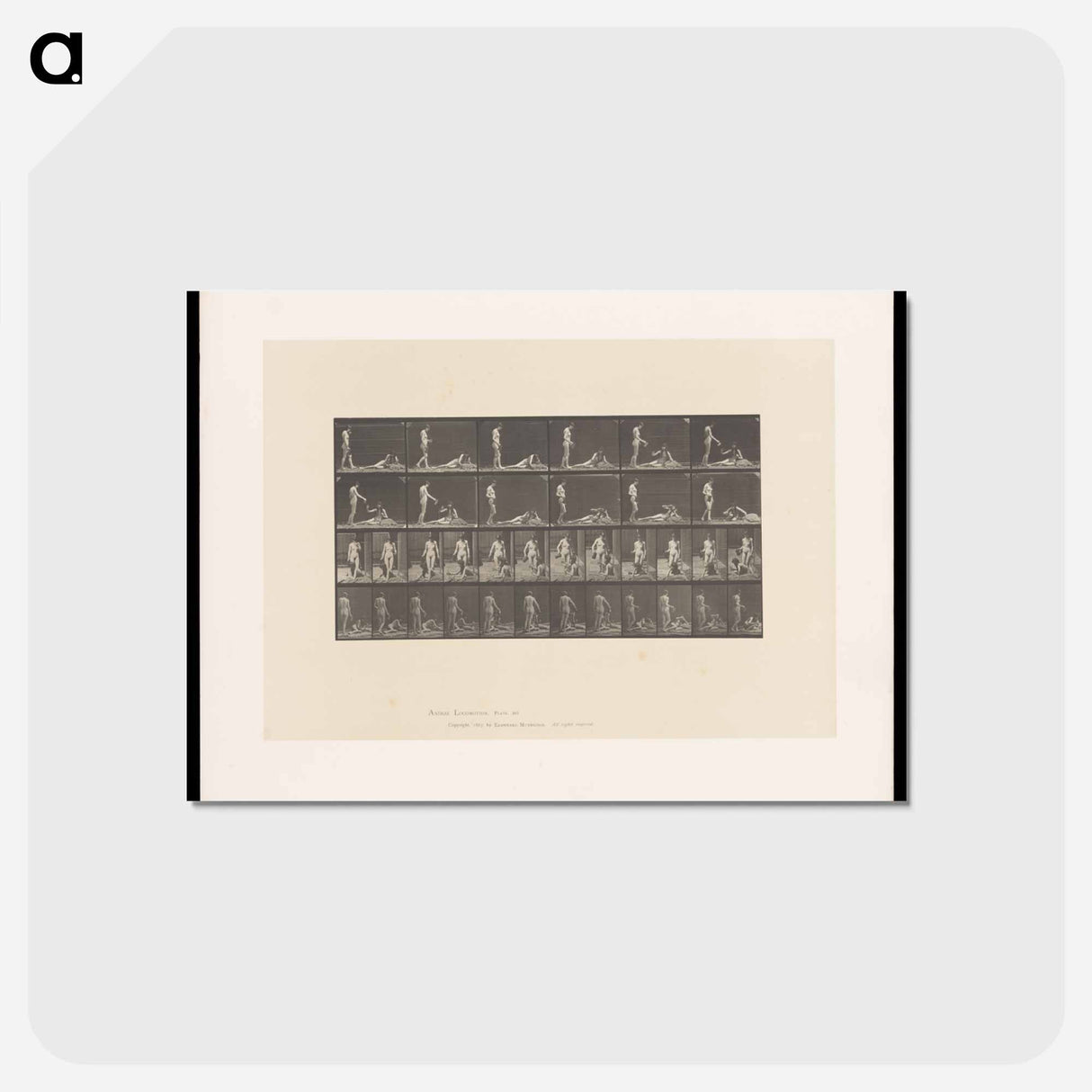 アートポストカード-Pouring Water
 - エドワード マイブリッジ Postcard.