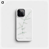 Climbing asparagus - ピエール ジョゼフ ルドゥーテ Phone Case.