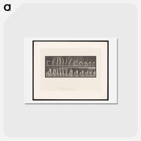 アートポストカード-Handstand
 - エドワード マイブリッジ Postcard.