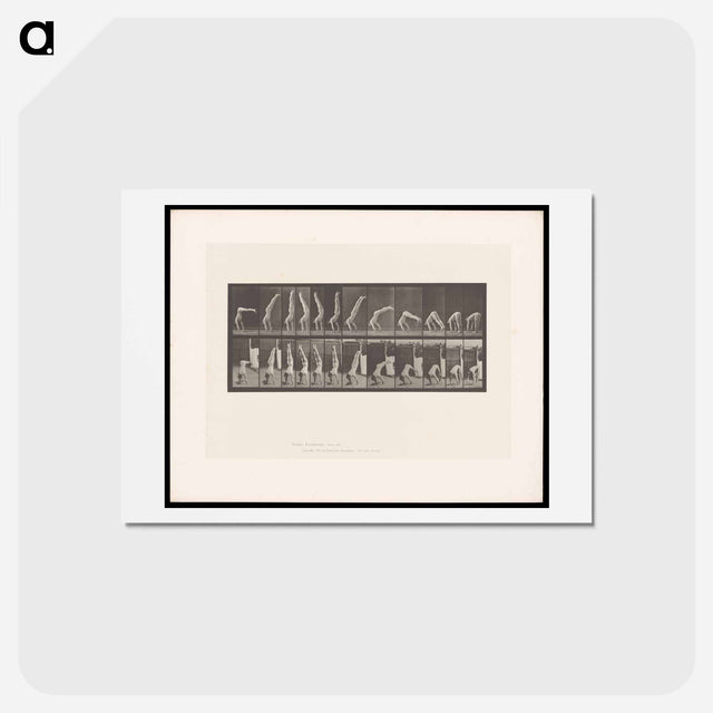 アートポストカード-Handstand
 - エドワード マイブリッジ Postcard.