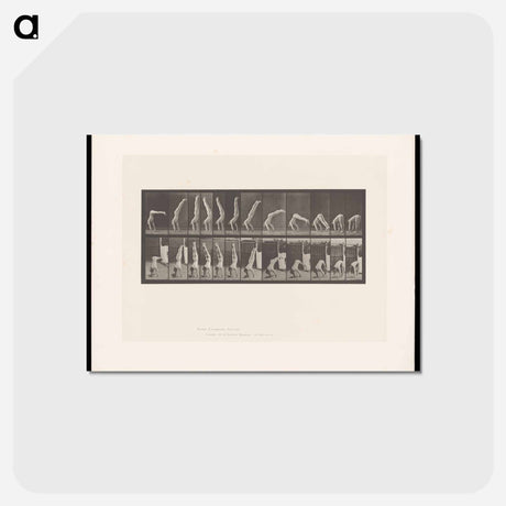 アートポストカード-Handstand
 - エドワード マイブリッジ Postcard.