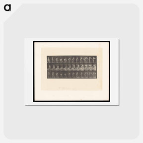 アートポストカード-The Flower Basket
 - エドワード マイブリッジ Postcard.